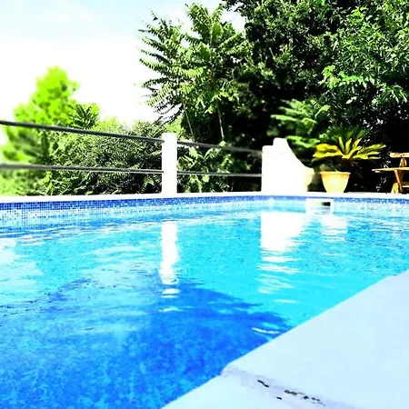 Holiday *